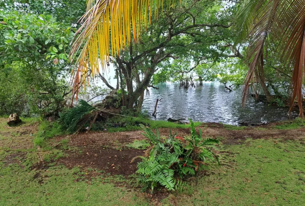 naturaleza